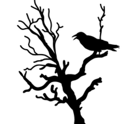 avatar for birdgineer