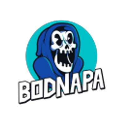 avatar for bodnapa