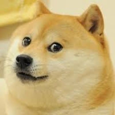 avatar for distributeddoge