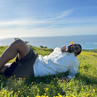 Mynd fyrir Dylan Patel