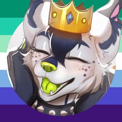 avatar for invisyarcticfox