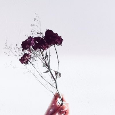 しろんぱん工房🍞 (SHIRON)