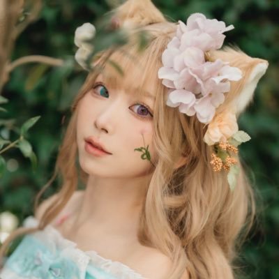 いぬはうす (乃街まの)