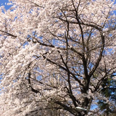 人妻みうるの休憩所㊙️ (みうる)