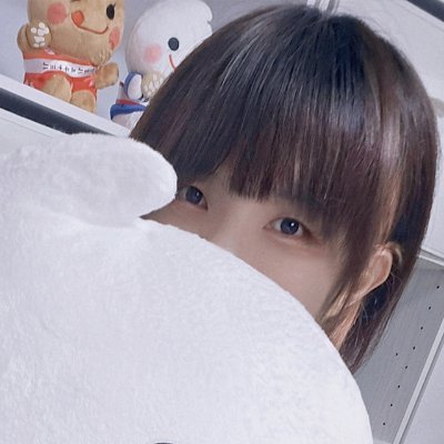 ねこふとんファンクラブ (ふとん)