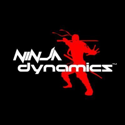 avatar for ninjadynamics