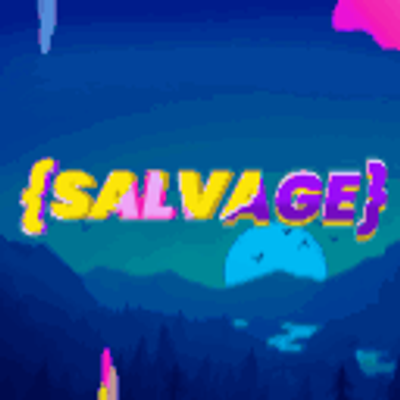 avatar for salvagedev