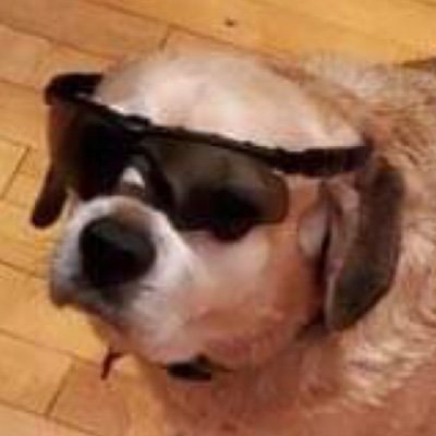 Seamus (FreedomToons)