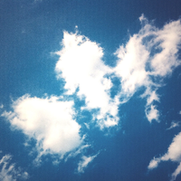 はりはり部 (harry)