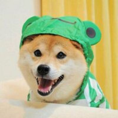 avatar for ultimatedoge