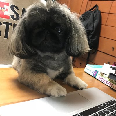 winmonaye's avatar