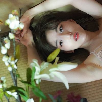 ひな組フロンティア (朝比奈祐未)