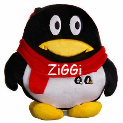 ziggi